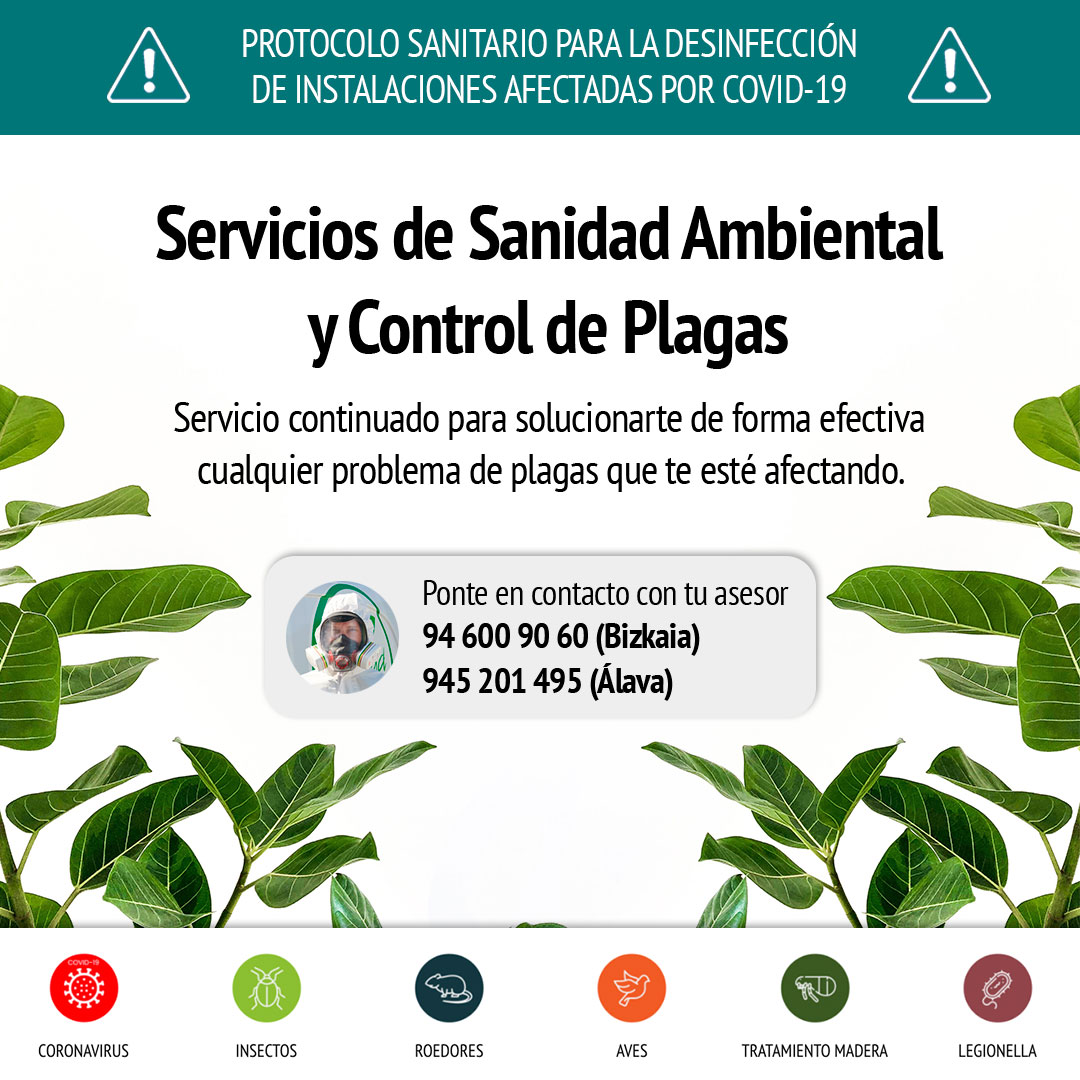 Insec Desinfecciones SLU